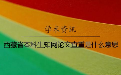 西藏省本科生學術論文查重是什么意思